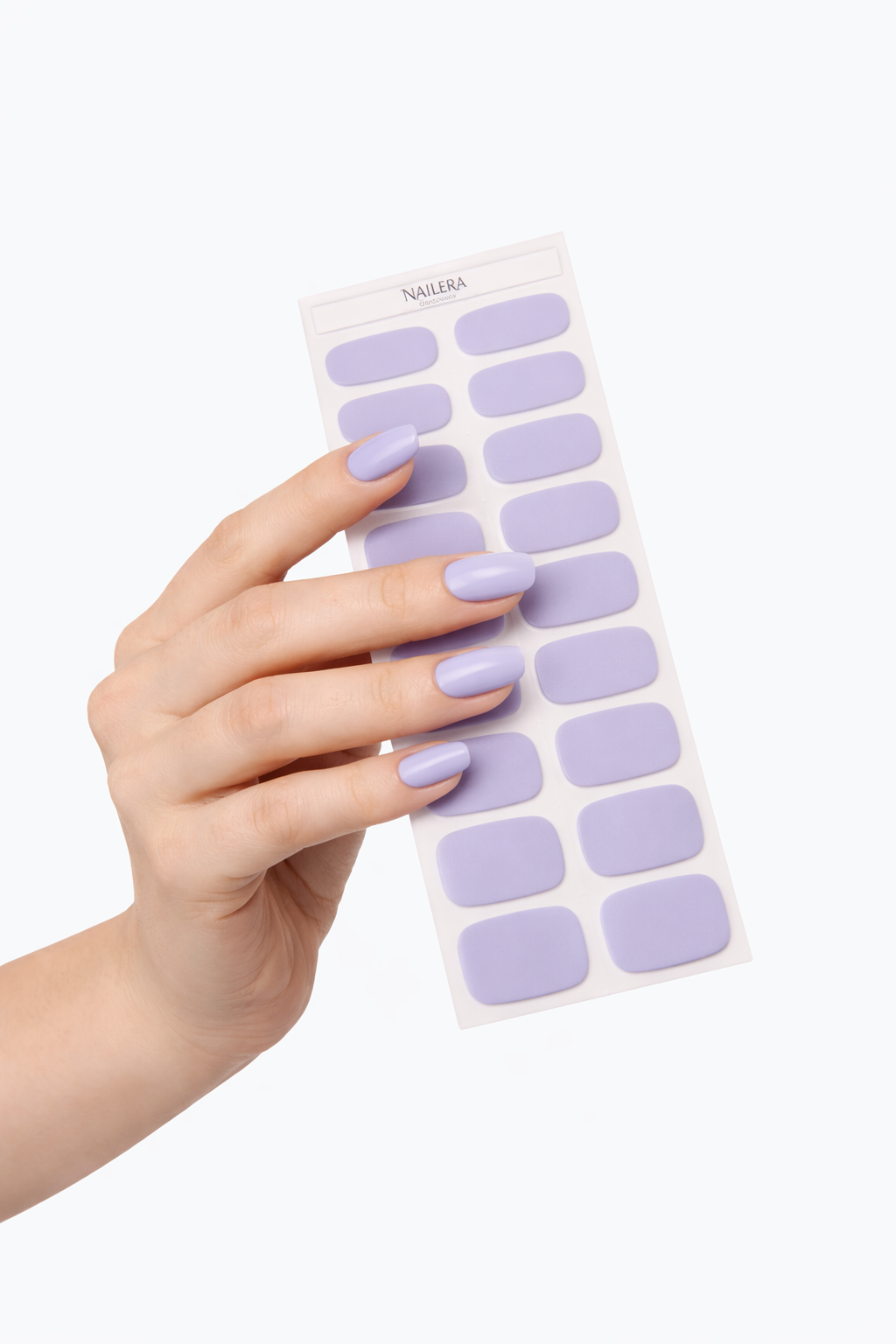 Lavender Babe