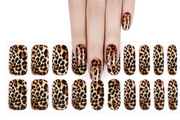 Wild Leopard